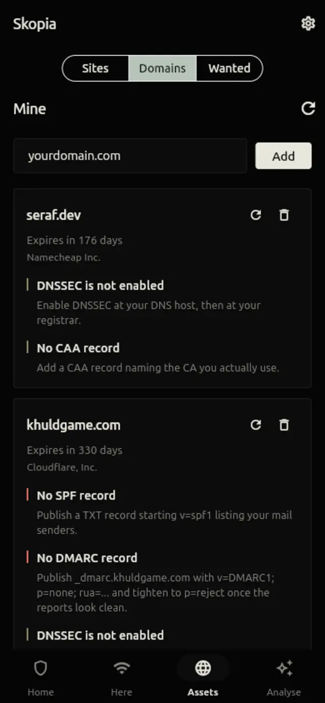 The Domains screen: expiry, registrar and findings for each domain held.